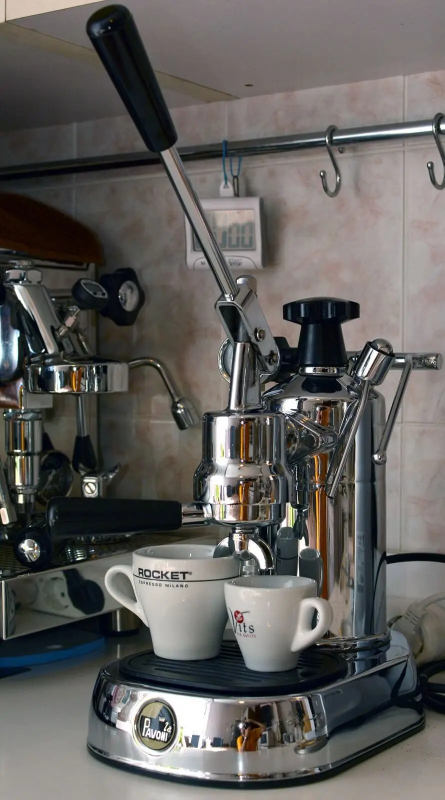 Pavoni europiccola cheap